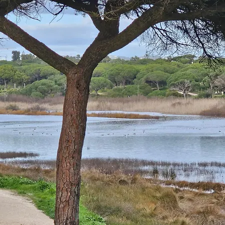 Cartaia Leste 奎特里拉