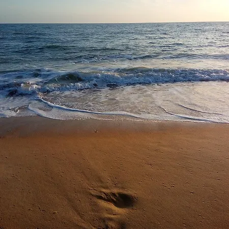 公寓 Cartaia Leste *